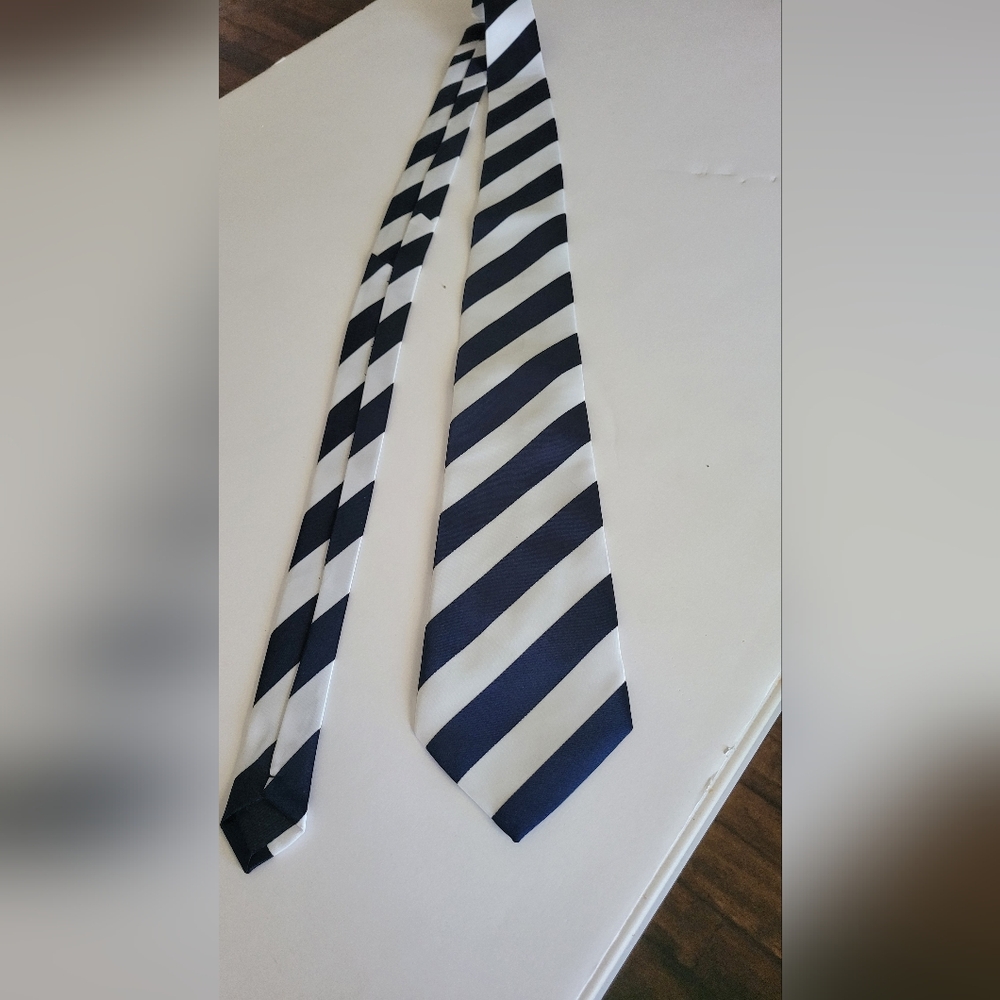 Striped Blue and White Men's Tie